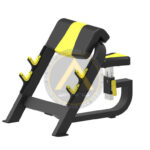 Seated Preacher Curl